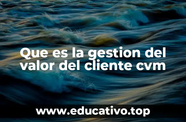 Que es la gestion del valor del cliente cvm