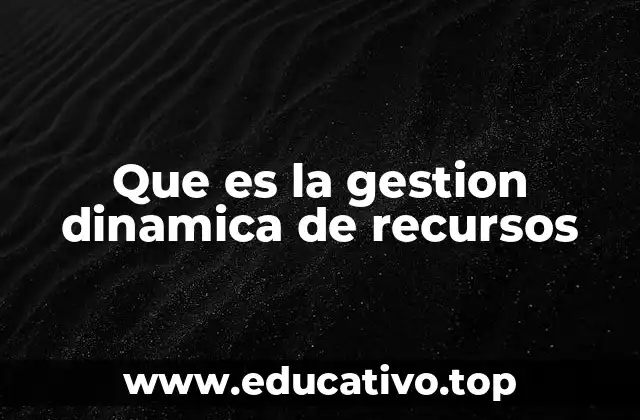 Que es la gestion dinamica de recursos