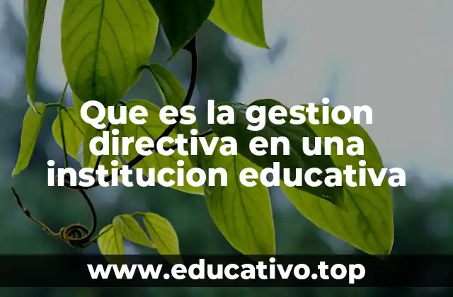 Que es la gestion directiva en una institucion educativa