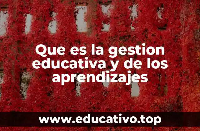 Que es la gestion educativa y de los aprendizajes
