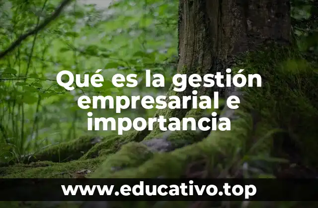 Qué es la gestión empresarial e importancia