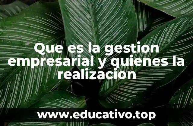 Que es la gestion empresarial y quienes la realizacion