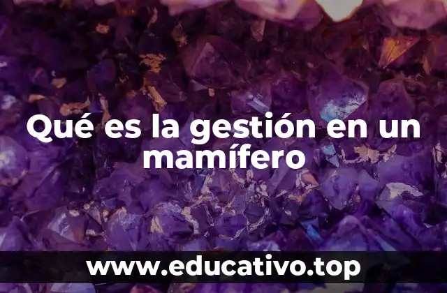 Qué es la gestión en un mamífero