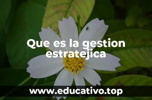 Que es la gestion estratejica