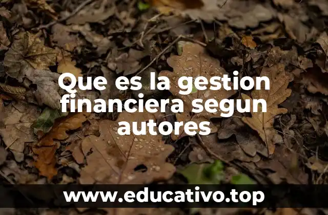 Que es la gestion financiera segun autores