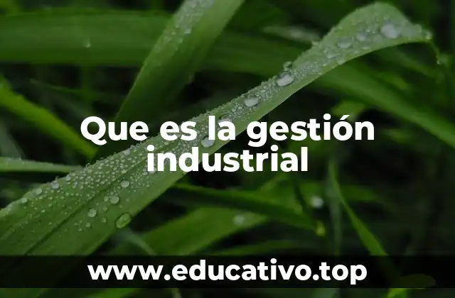 Que es la gestión industrial