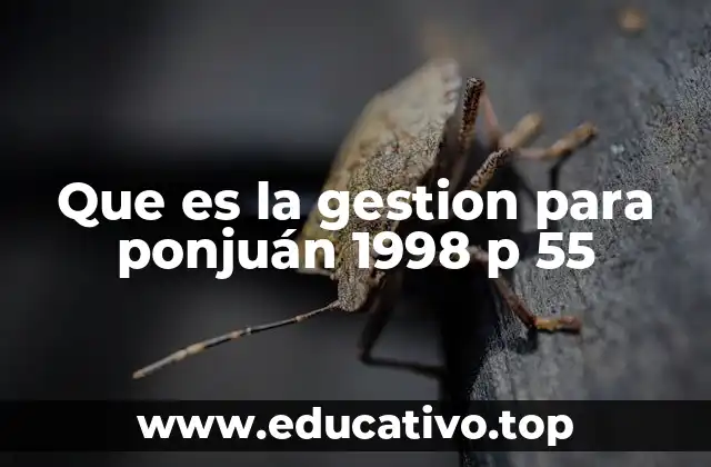 Que es la gestion para ponjuán 1998 p 55