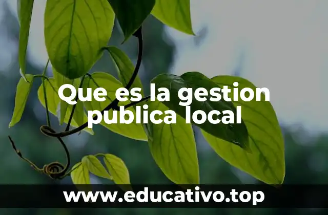 Que es la gestion publica local