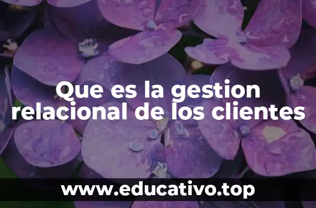 Que es la gestion relacional de los clientes