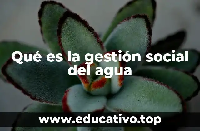 Qué es la gestión social del agua