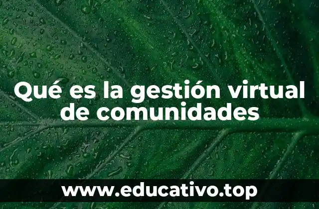 Qué es la gestión virtual de comunidades