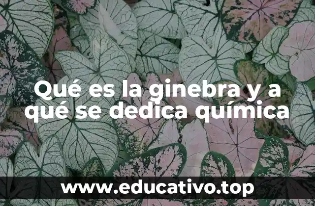 La ciencia detrás de la elaboración de la ginebra