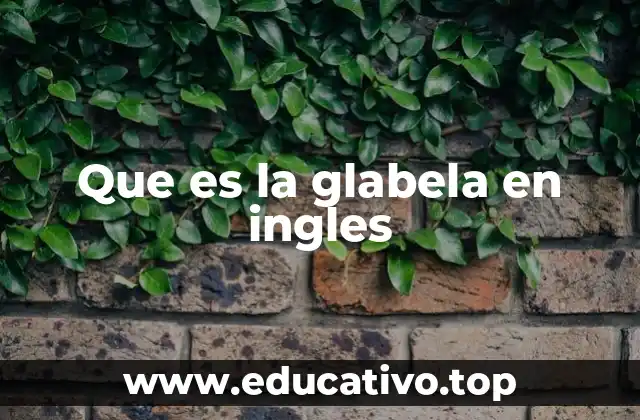 Que es la glabela en ingles