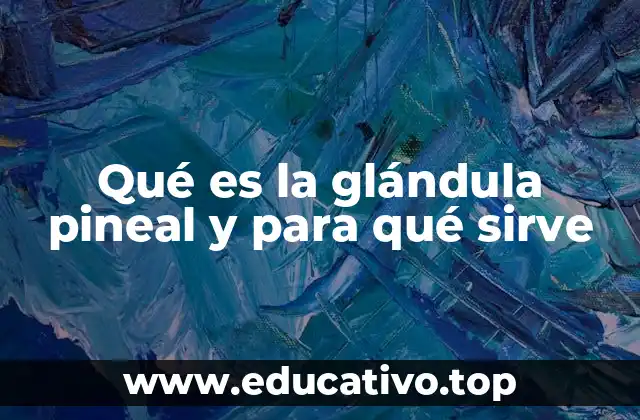 Qué es la glándula pineal y para qué sirve