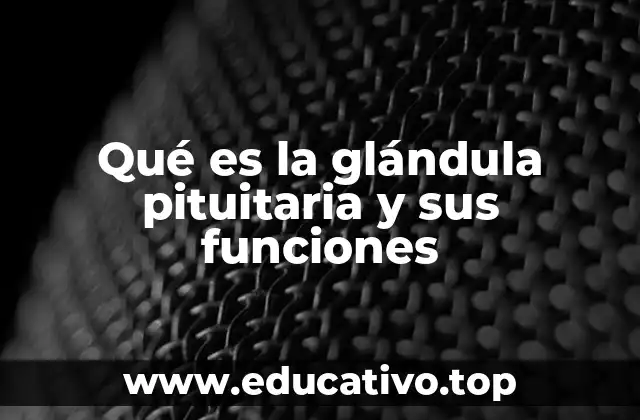 Qué es la glándula pituitaria y sus funciones