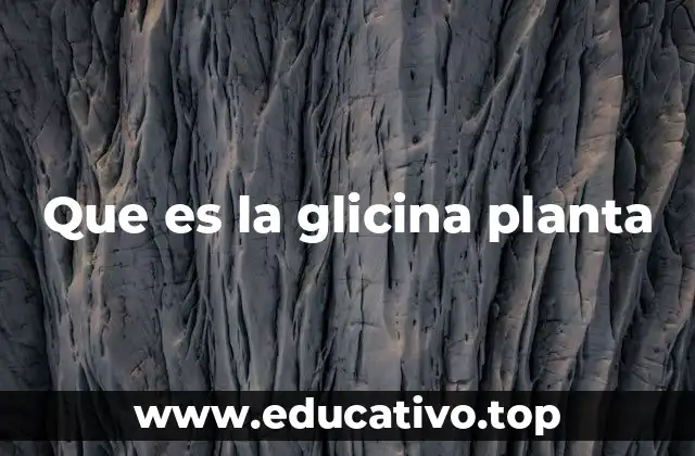 Que es la glicina planta