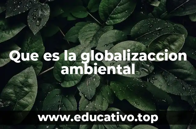 Que es la globalizaccion ambiental