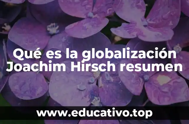 Qué es la globalización Joachim Hirsch resumen