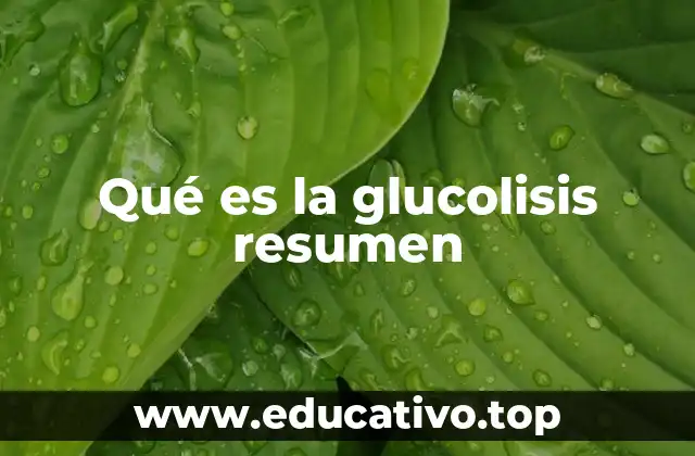 Qué es la glucolisis resumen
