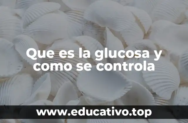 Que es la glucosa y como se controla