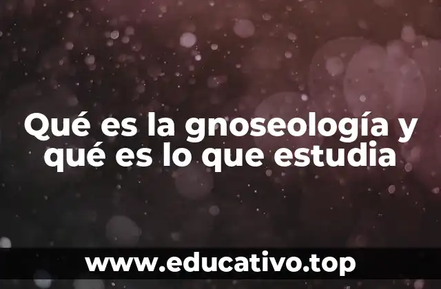 Qué es la gnoseología y qué es lo que estudia