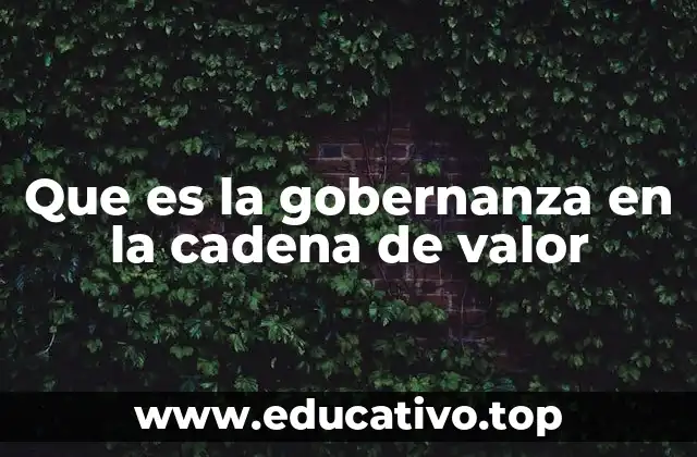 Que es la gobernanza en la cadena de valor