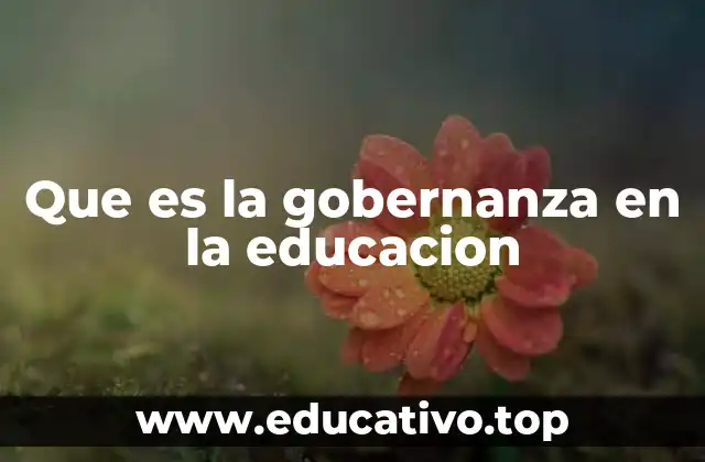 Que es la gobernanza en la educacion