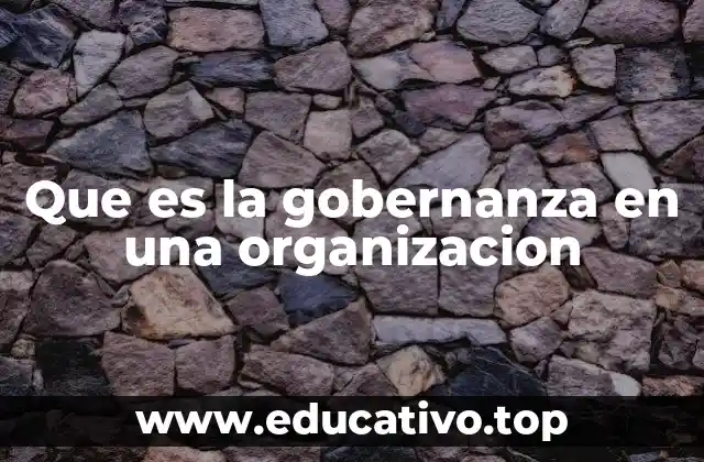 Que es la gobernanza en una organizacion