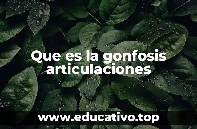 Que es la gonfosis articulaciones