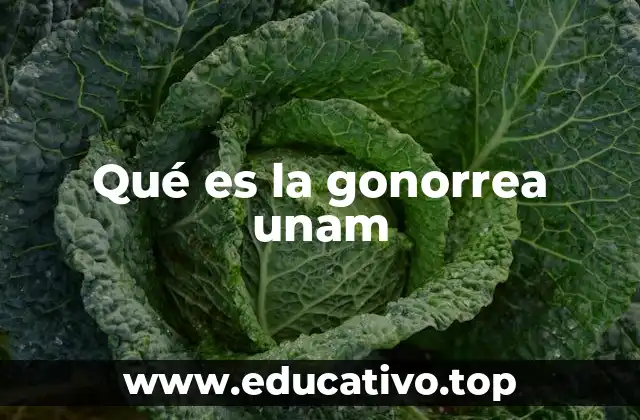 Qué es la gonorrea unam