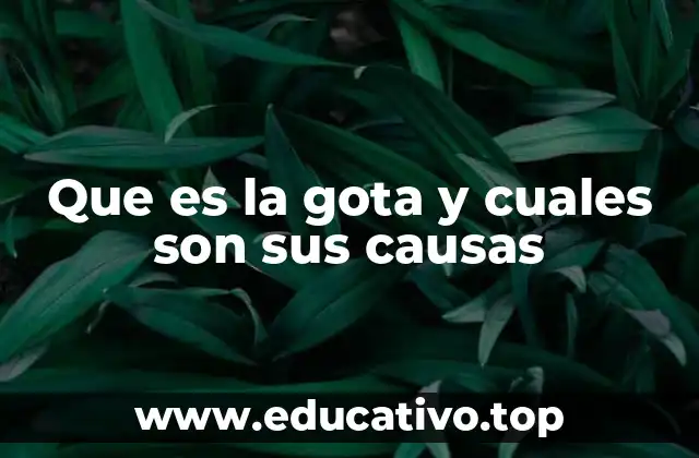Que es la gota y cuales son sus causas