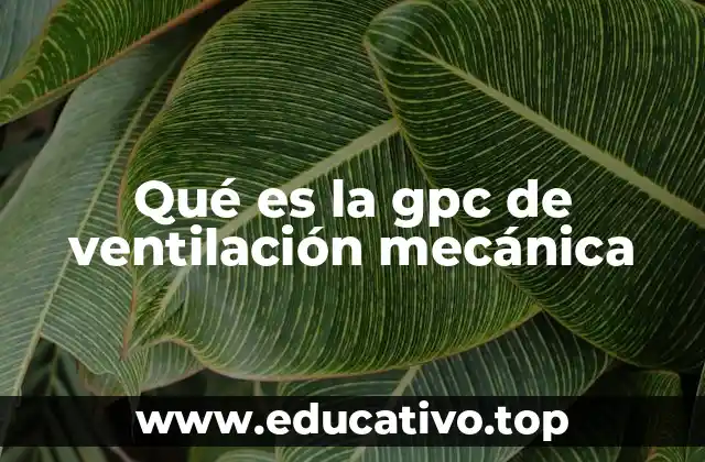 Qué es la gpc de ventilación mecánica