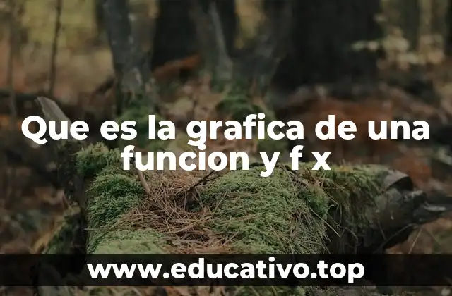 Que es la grafica de una funcion y f x