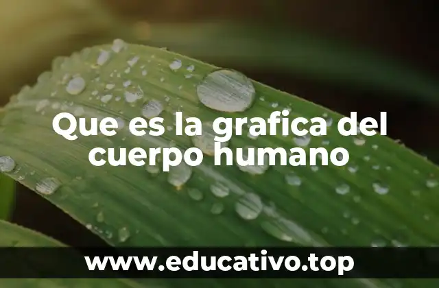 Que es la grafica del cuerpo humano