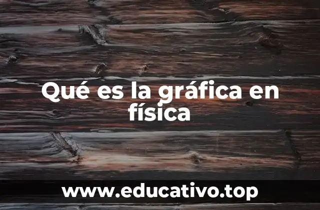 La representación visual en el análisis físico