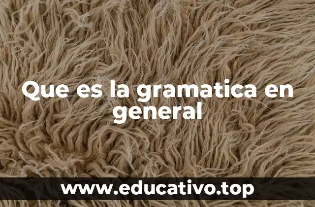 Que es la gramatica en general