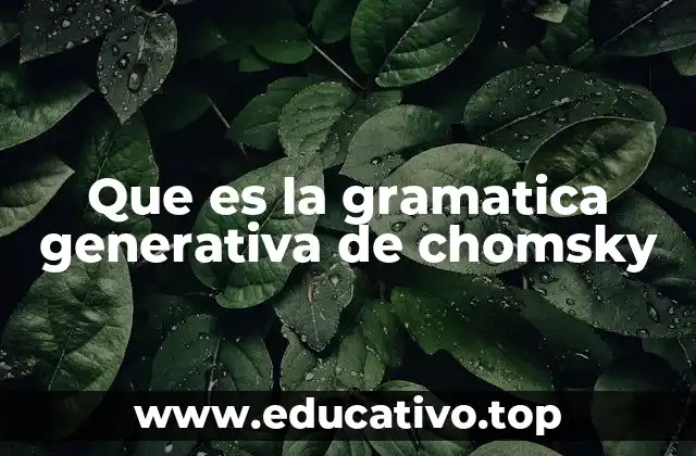 Que es la gramatica generativa de chomsky