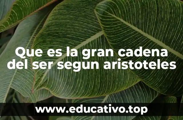 Que es la gran cadena del ser segun aristoteles