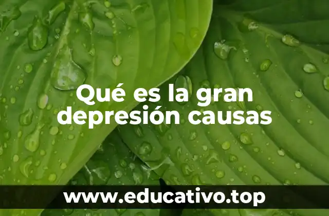 Qué es la gran depresión causas