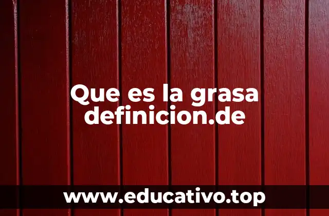 Que es la grasa definicion.de