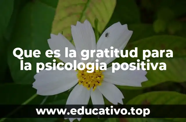 Que es la gratitud para la psicologia positiva