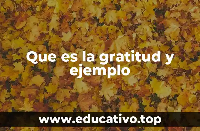 Que es la gratitud y ejemplo