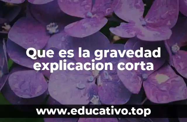 Que es la gravedad explicacion corta