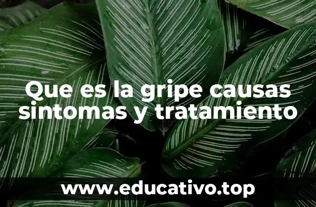 Que es la gripe causas sintomas y tratamiento