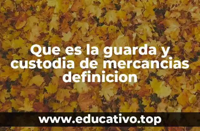 Que es la guarda y custodia de mercancias definicion