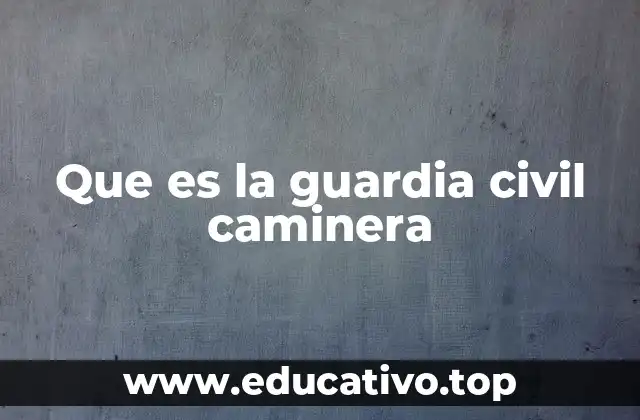 Que es la guardia civil caminera