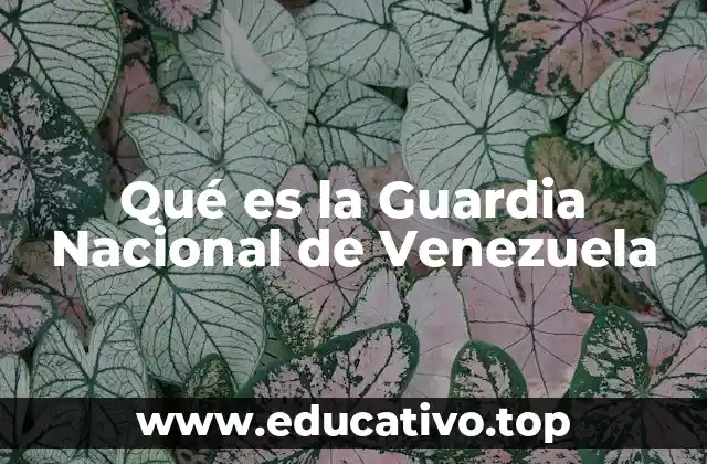 Qué es la Guardia Nacional de Venezuela