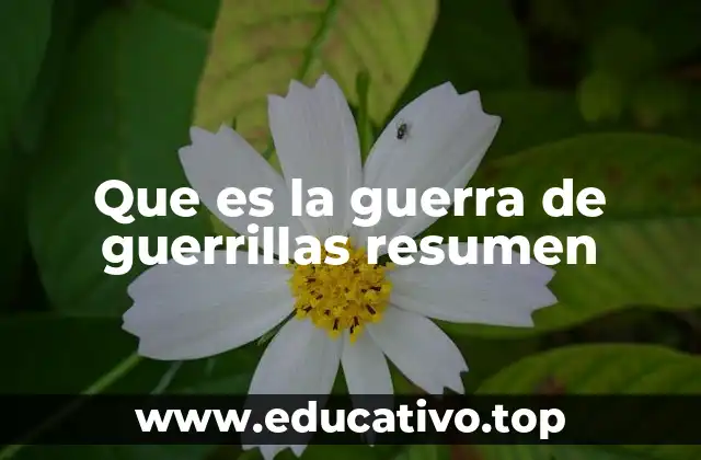 Que es la guerra de guerrillas resumen