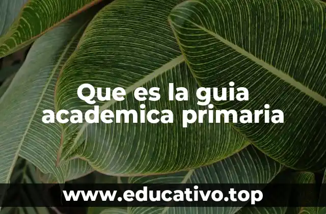 Que es la guia academica primaria