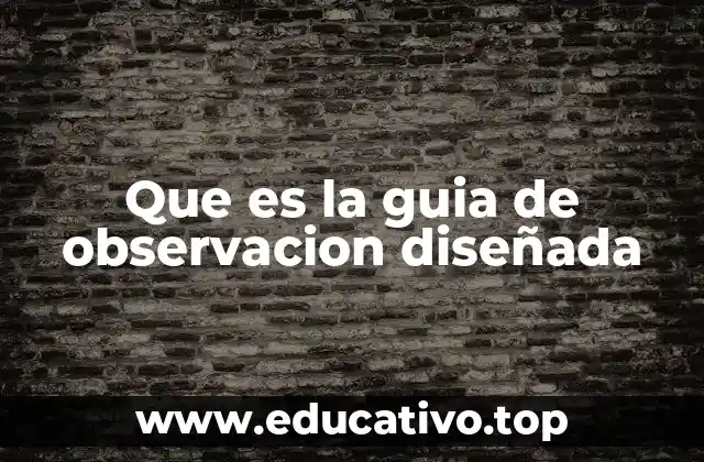 Que es la guia de observacion diseñada